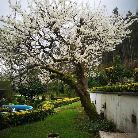 Feriehus Quinta Aguias *