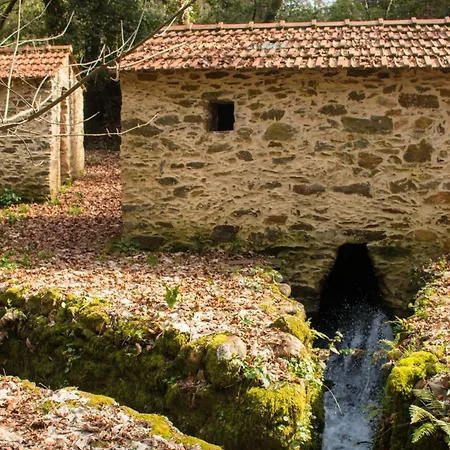 Quinta Aguias *