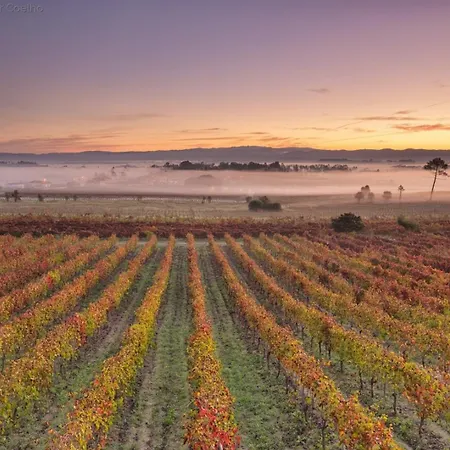 Quinta Aguias Aveiro