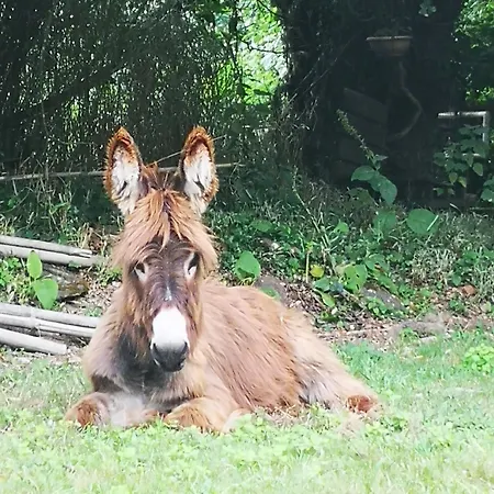 Quinta Aguias