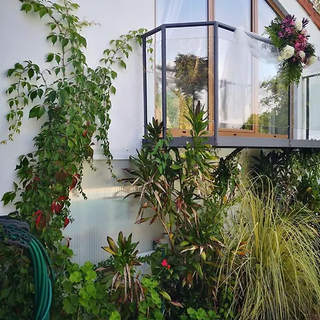 Quinta Aguias Feriehus