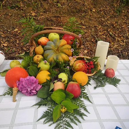 Quinta Aguias * アヴェイロ