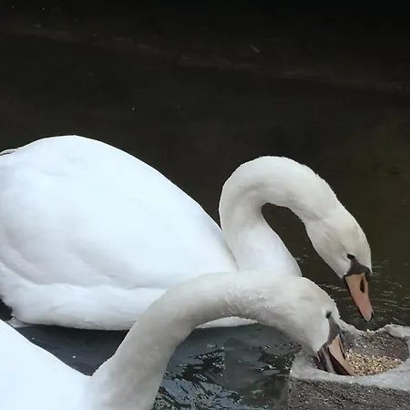 Quinta Aguias * Aveiro
