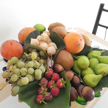 Quinta Aguias Feriehus Aveiro