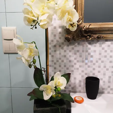 Quinta Aguias * アヴェイロ