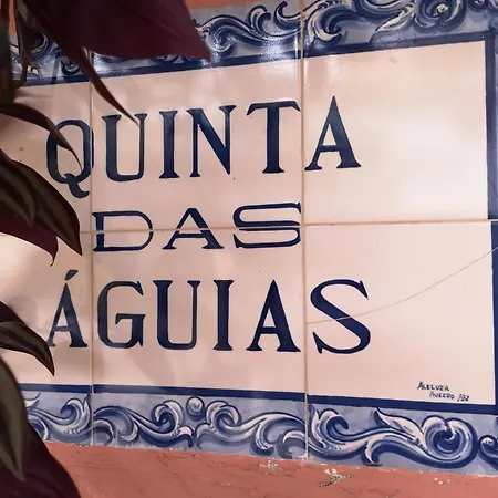別荘 Quinta Aguias *