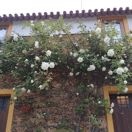 Quinta Aguias アヴェイロ