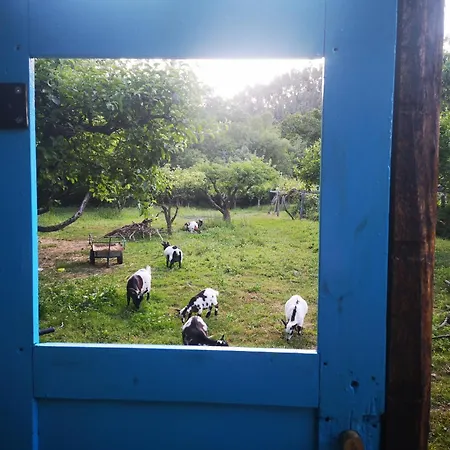 Feriehus Quinta Aguias *