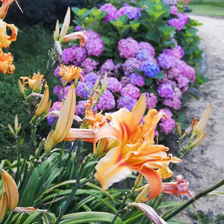 Quinta Aguias Feriehus