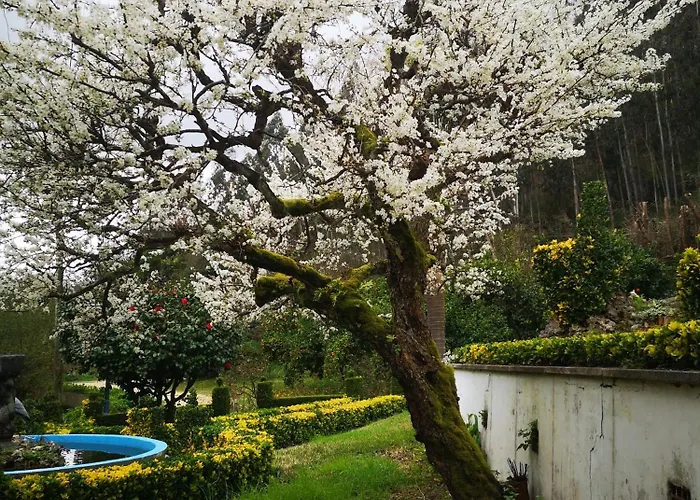 Ferienhaus Quinta Aguias *