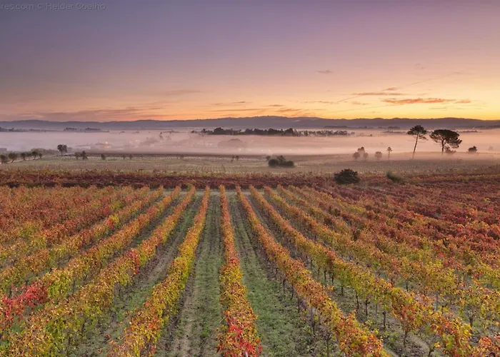 Quinta Aguias Aveiro