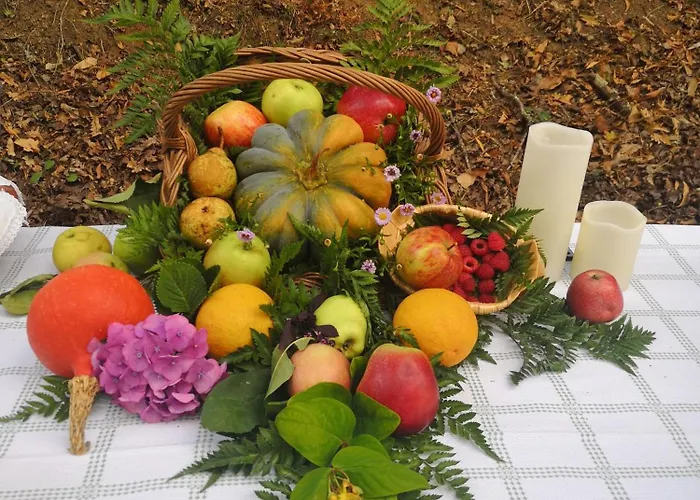 Quinta Aguias * Aveiro