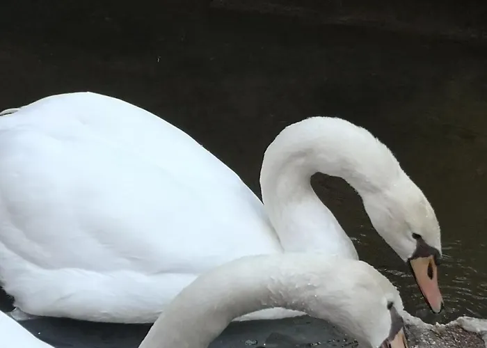 Quinta Aguias * Aveiro