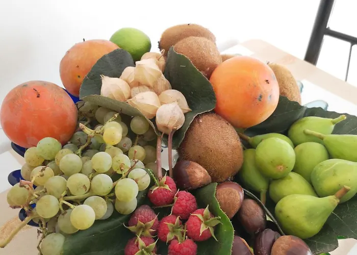 Quinta Aguias Ferienhaus Aveiro