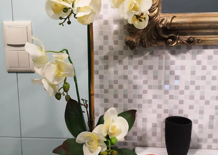 Quinta Aguias * Aveiro