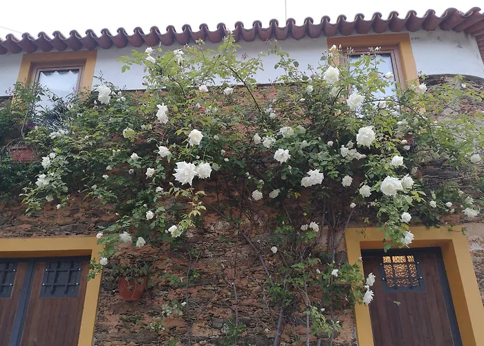 Quinta Aguias Aveiro