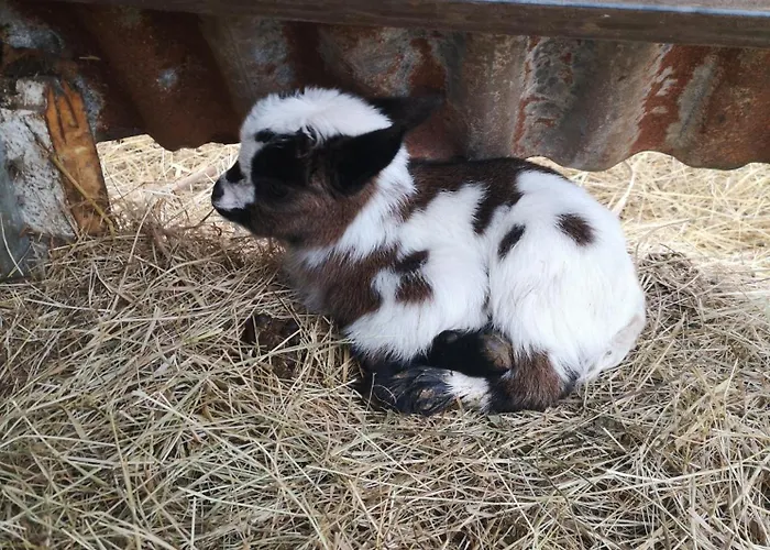 Quinta Aguias Ferienhaus *