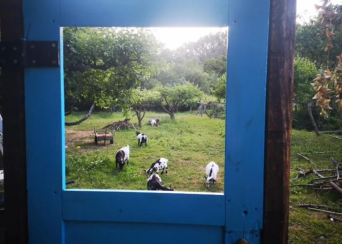 Ferienhaus Quinta Aguias *