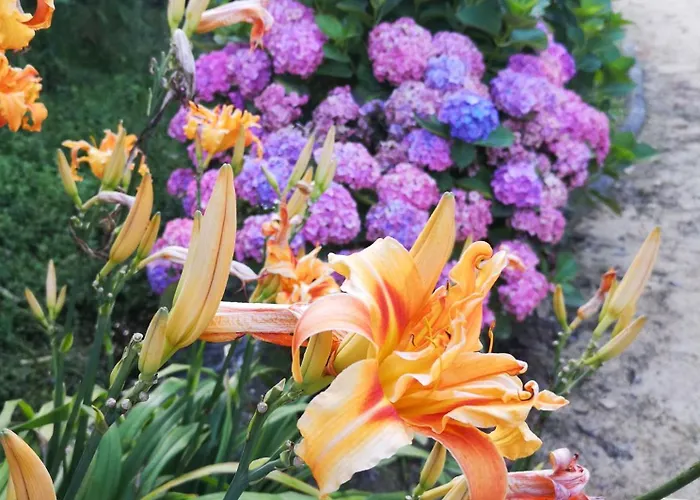 Quinta Aguias Ferienhaus