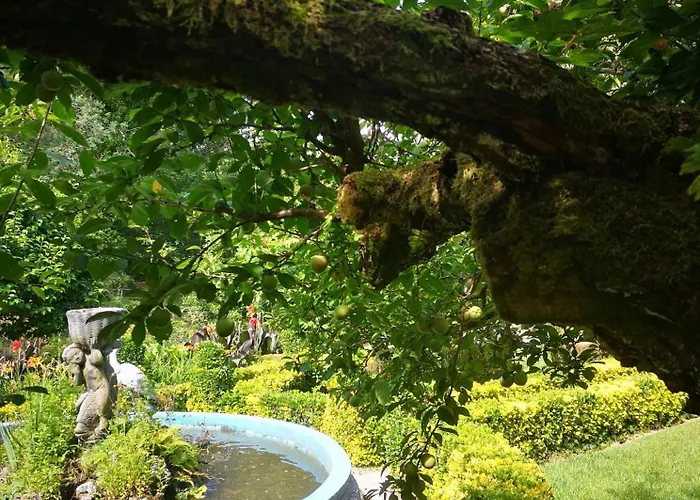 Quinta Aguias Ferienhaus Aveiro