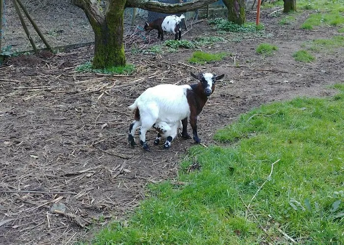 Quinta Aguias Ferienhaus Aveiro
